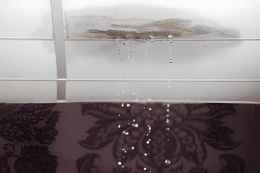 Roof Leaks & Failures