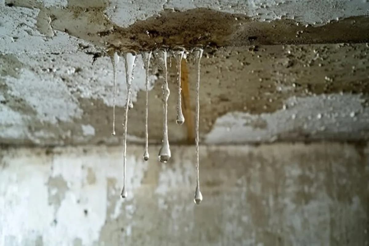 J&M water damage restoration crew working in a Tacoma home